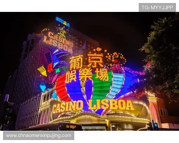 探索葡京娱乐的多样化游戏选择，开启属于你的精彩娱乐新篇章