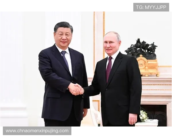 新普京电脑版官网网址最新官方入口，支持多平台快速访问体验