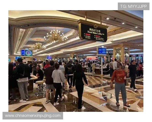 澳门新葡京网娱乐app最新优惠活动与促销方案推荐