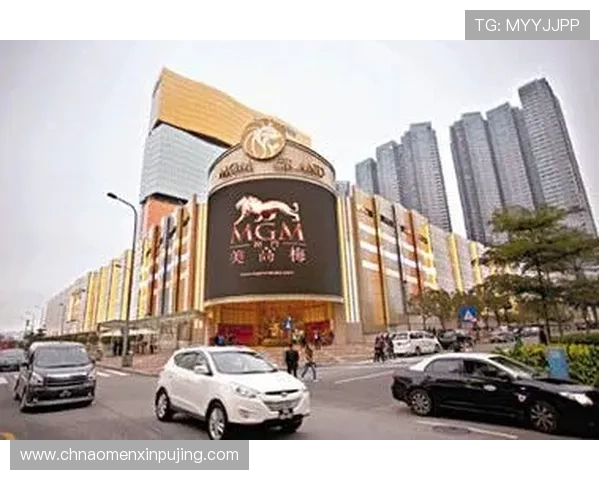 澳门美高梅贵宾厅全方位服务介绍，享受极致奢华的尊贵体验