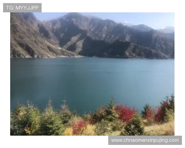 新葡葡萄京娱乐官网新手攻略指南，帮助新玩家快速上手游戏技巧提升游戏体验与胜率