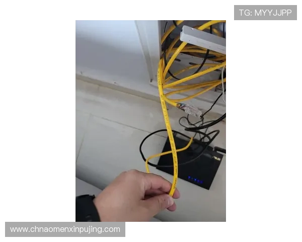 皇家数字站常见问题解答：解决玩家在使用过程中遇到的疑难杂症